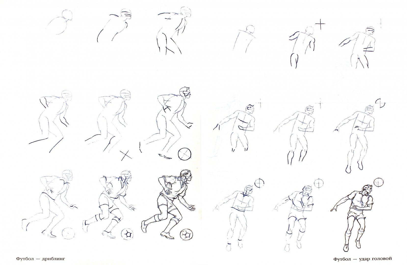 Иллюстрация 1 из 31 для Рисуем 50 атлетов - Ли Эймис | Лабиринт - книги. Источник: Лабиринт