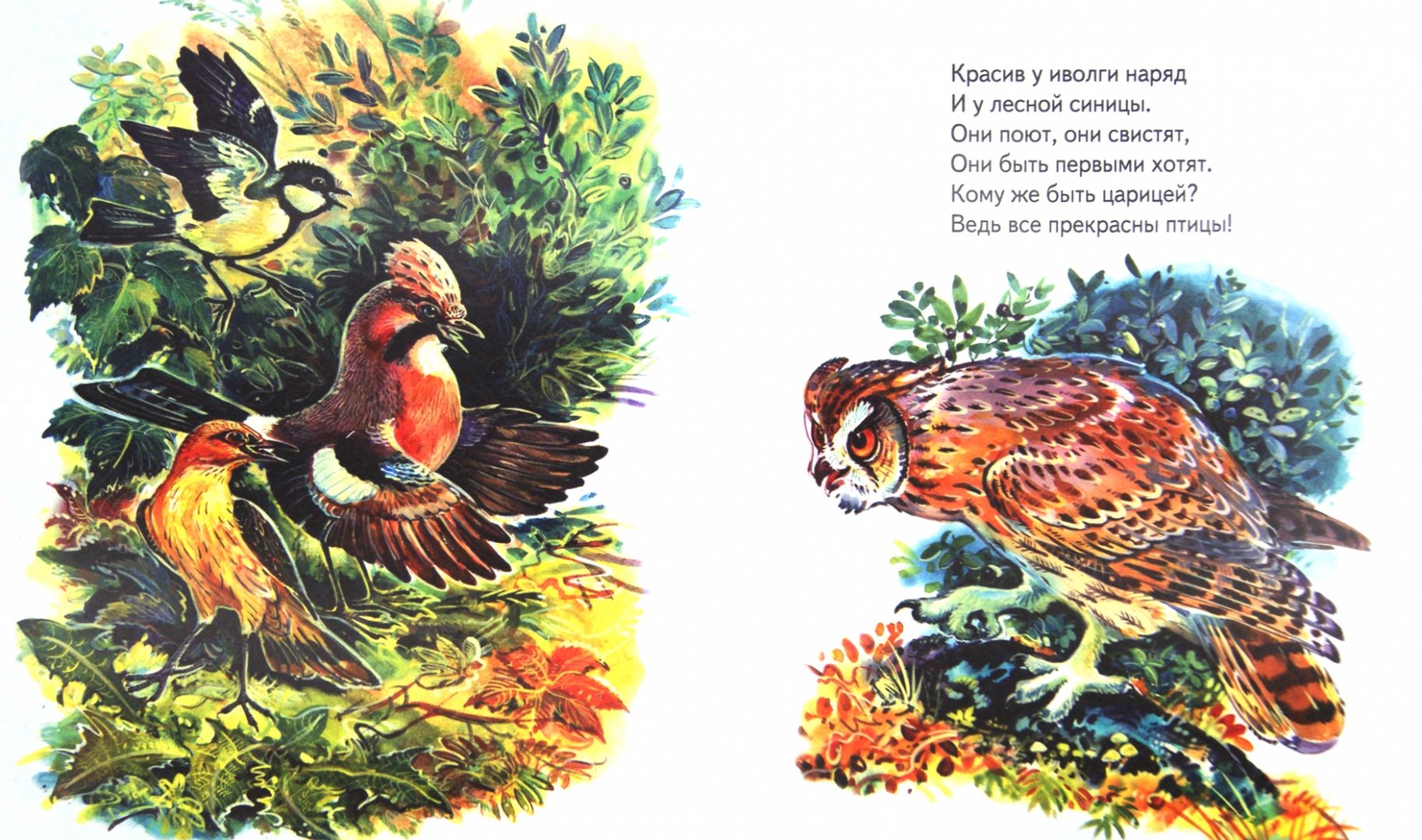 Иллюстрация 1 из 11 для Урок на зелёной ветке - Владимир Степанов | Лабиринт - книги. Источник: Лабиринт