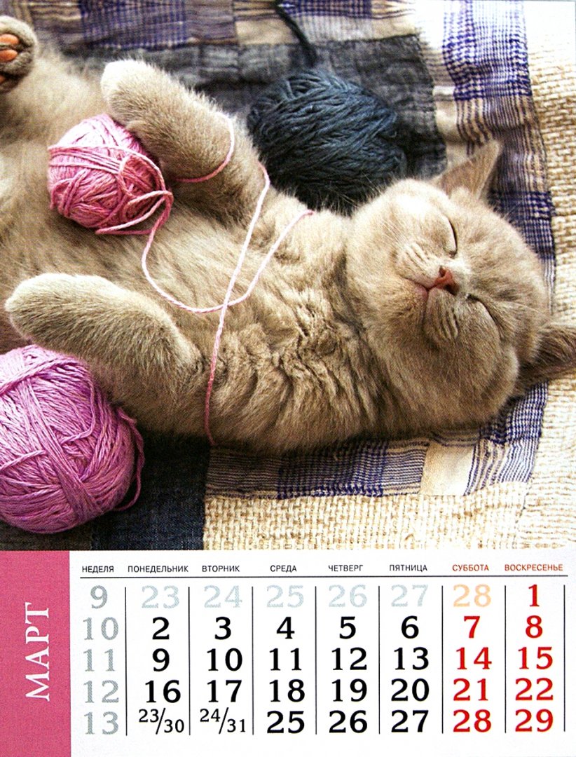 Иллюстрация 1 из 19 для Календарь на 2015 год "Кошки" (на магнитном креплении) (35772-36) | Лабиринт - сувениры. Источник: Лабиринт