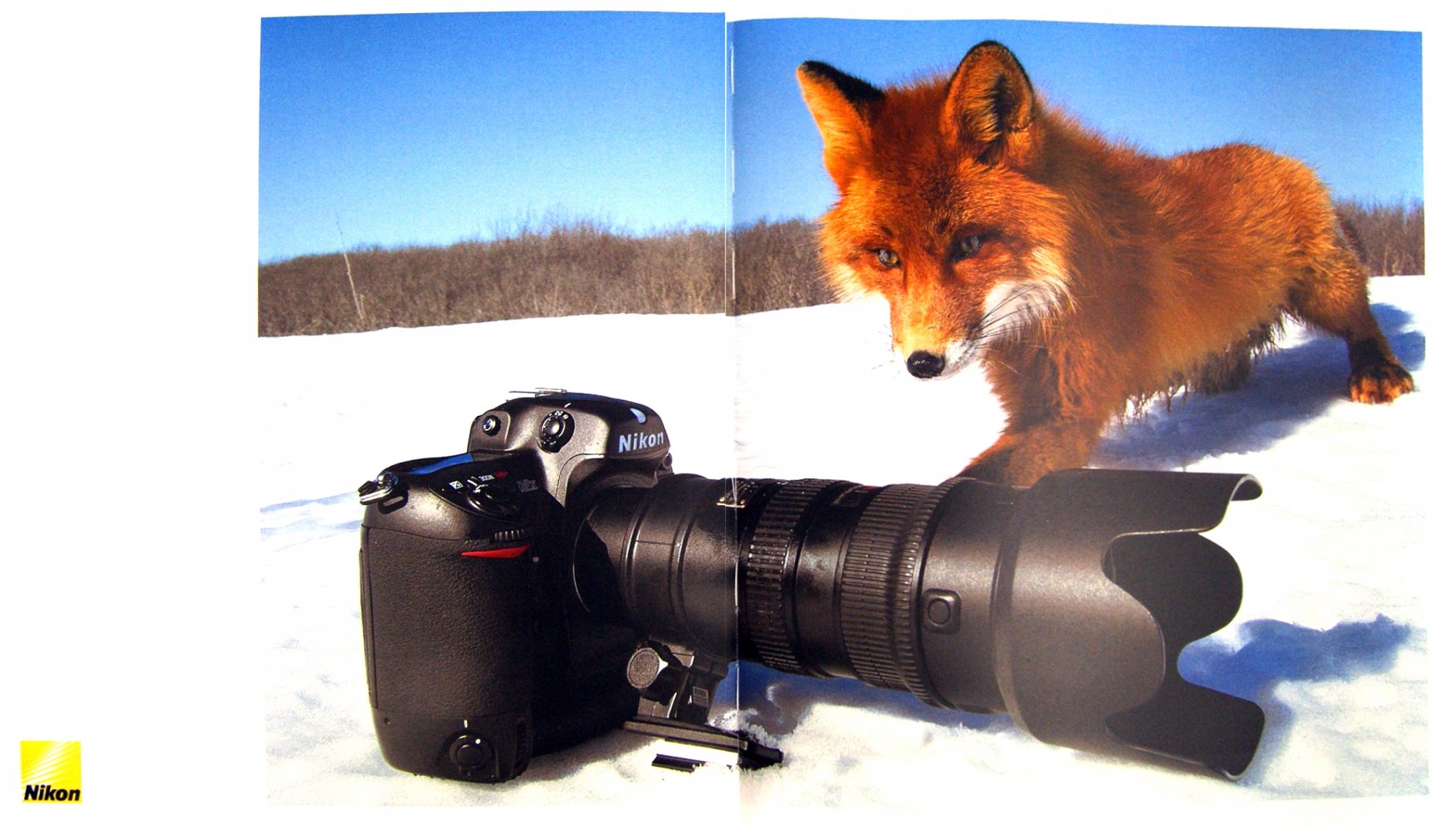 Фотографы дикой природы. Животные с фотоаппаратом.