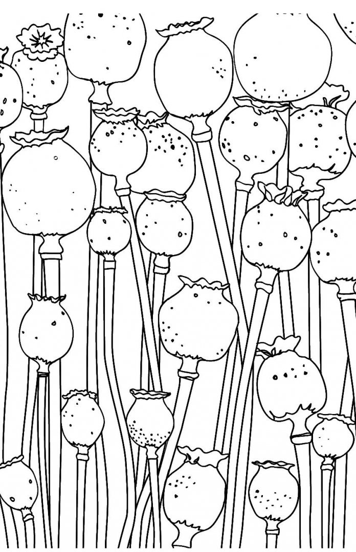 Иллюстрация 6 из 39 для Зачарованный сад. Мини-раскраска-антистресс | Лабиринт - книги. Источник: Лабиринт