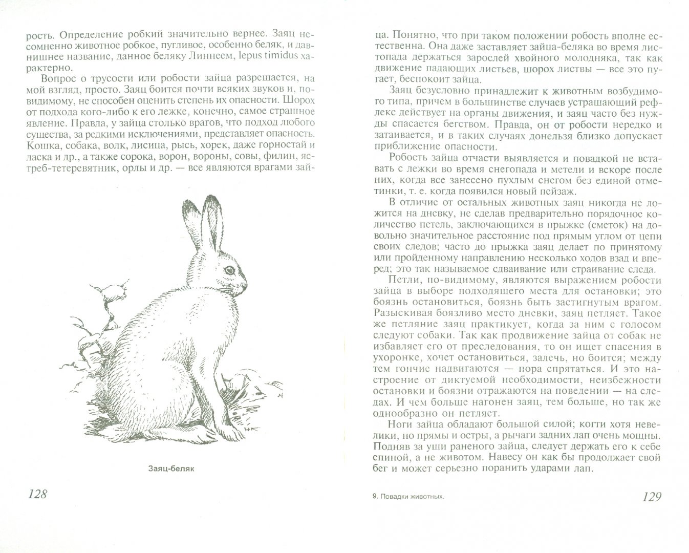 Иллюстрация 1 из 11 для Повадки животных - Николай Зворыкин | Лабиринт - книги. Источник: Лабиринт