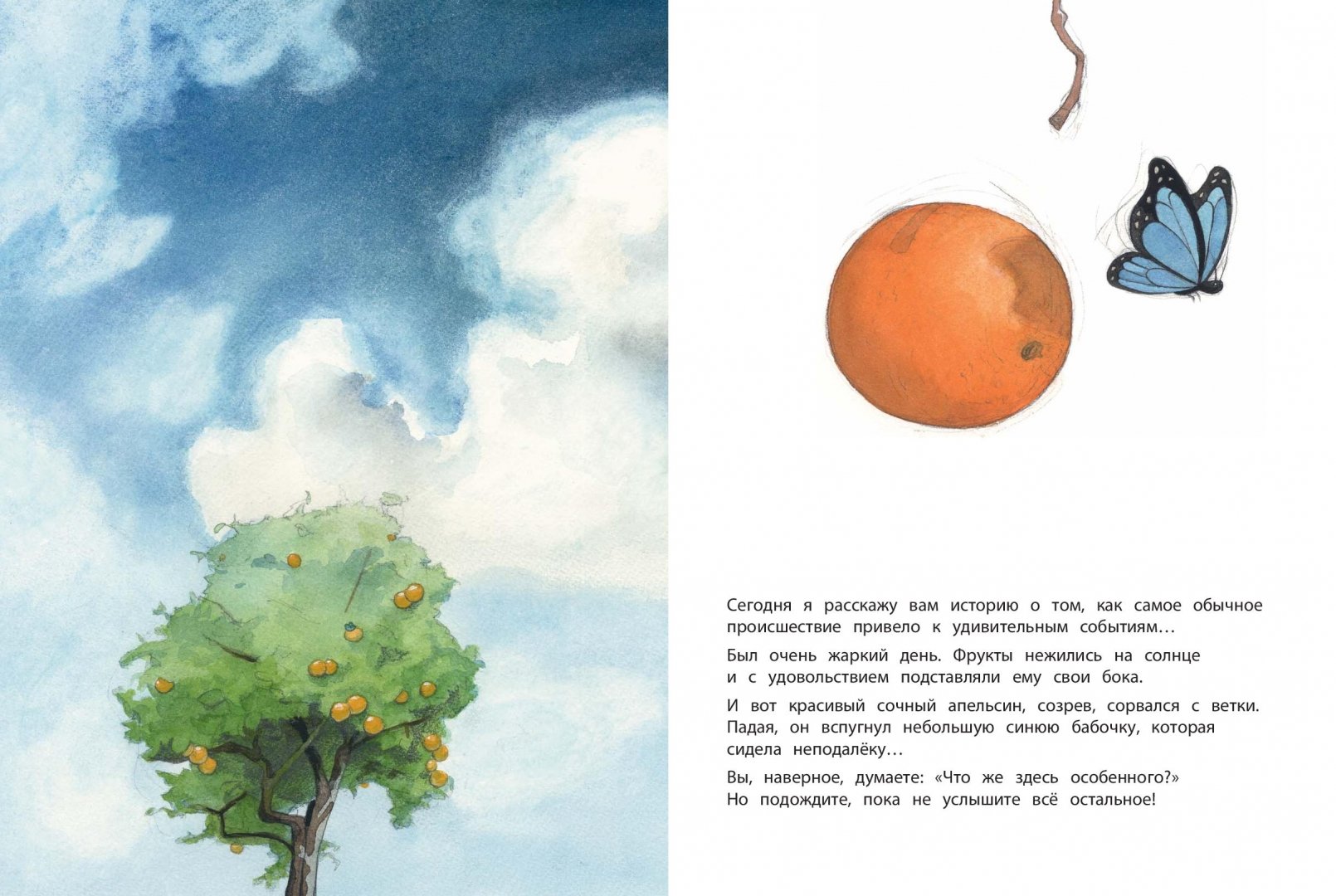 Иллюстрация 1 из 57 для Во всём виноват апельсин - Квентин Гребан | Лабиринт - книги. Источник: Лабиринт
