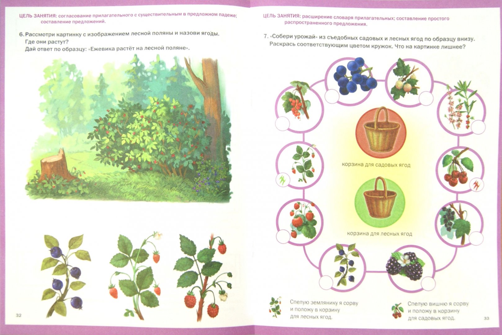 Развитие речи средняя группа растения. Ягоды задания для дошкольников. Занятие для детей ягоды. Лесные ягоды задания для дошкольников. Задания для детей ягоды логопедические.