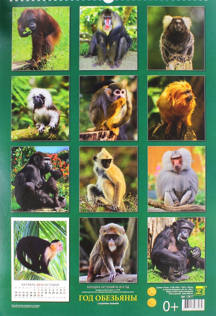 Иллюстрация 1 из 2 для Календарь настенный на 2016 год "Год обезьяны" (12617) | Лабиринт - сувениры. Источник: Лабиринт