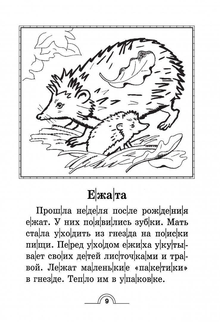 Иллюстрация 9 из 23 для 100 познавательных текстов для обучения детей чтению - Узорова, Нефедова | Лабиринт - книги. Источник: Лабиринт