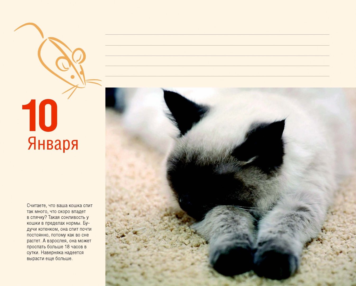Иллюстрация 11 из 37 для Календарь "Котики. Лучшие кото-фото. 365 дней в году", универсальный - Евгения Гюнтер | Лабиринт - сувениры. Источник: Лабиринт