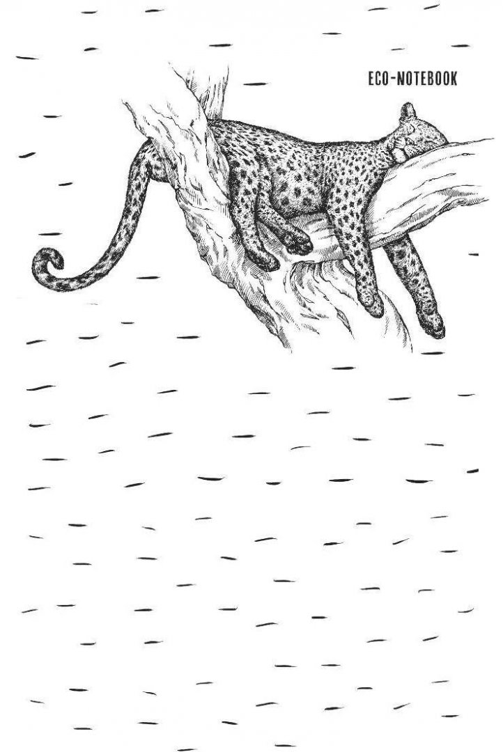 Иллюстрация 3 из 20 для Эко-блокнот "Мишка" (64 листа, А5, нелинованный) | Лабиринт - канцтовы. Источник: Лабиринт
