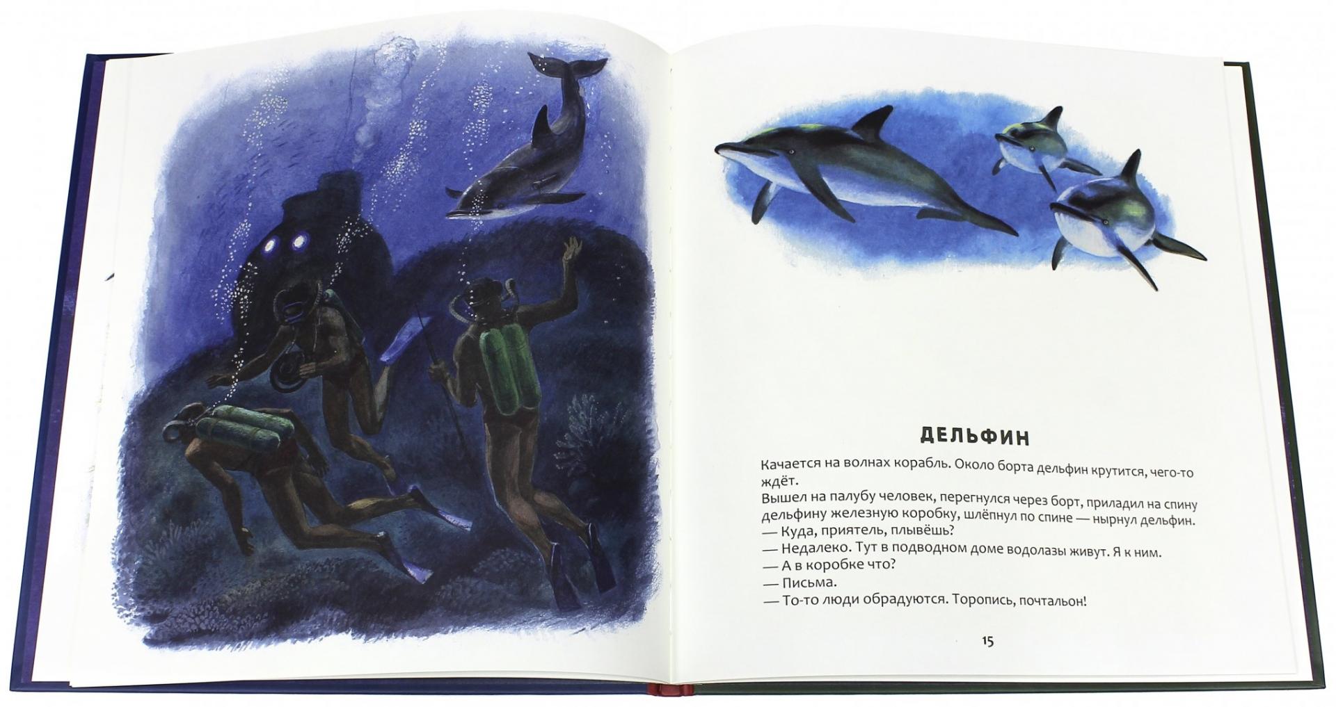 Иллюстрация 1 из 61 для Кто в море живет - Святослав Сахарнов | Лабиринт - книги. Источник: Лабиринт