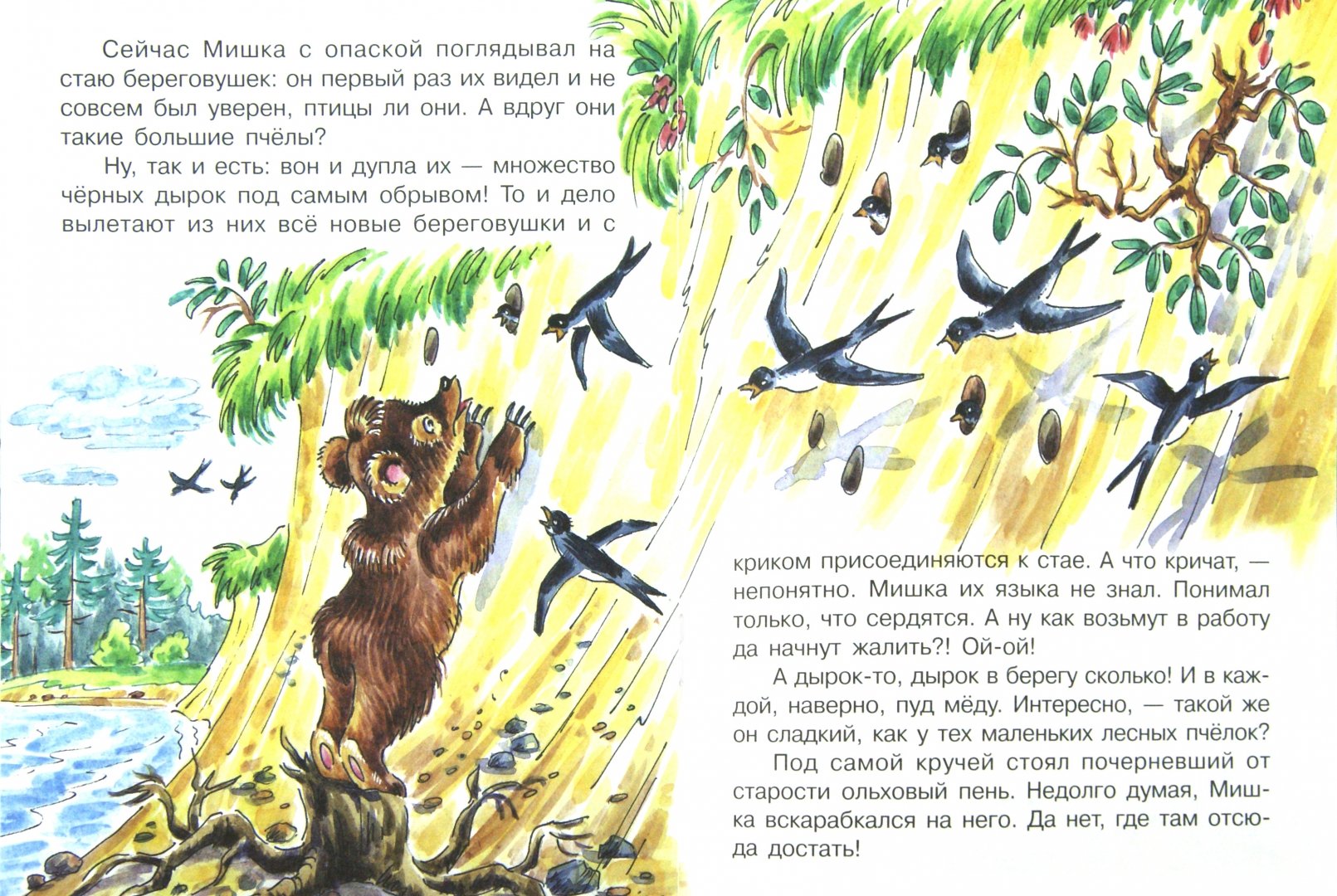 Иллюстрация 1 из 11 для Мишка - Башка - Виталий Бианки | Лабиринт - книги. Источник: Лабиринт
