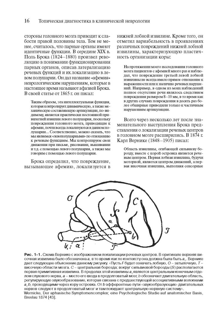 Иллюстрация 4 из 25 для Топическая диагностика в клинической неврологии - Биллер, Бразис, Мэсдью | Лабиринт - книги. Источник: Лабиринт