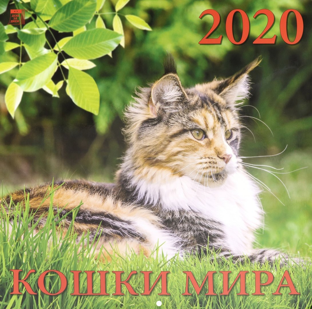 Иллюстрация 1 из 7 для Календарь 2020 "Кошки мира" (70004) | Лабиринт - сувениры. Источник: Лабиринт