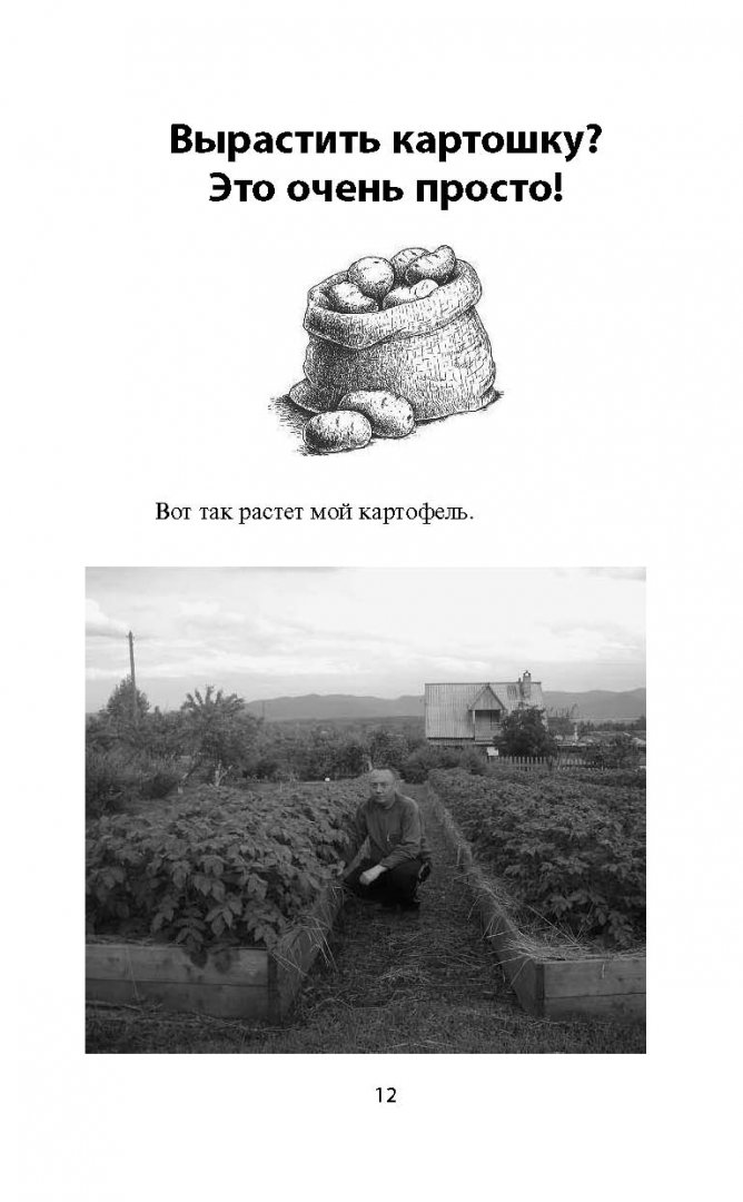 Иллюстрация 10 из 17 для Грядка для отличного урожая. Картофель без химии и хлопот, на любой почве - Игорь Лядов | Лабиринт - книги. Источник: Лабиринт