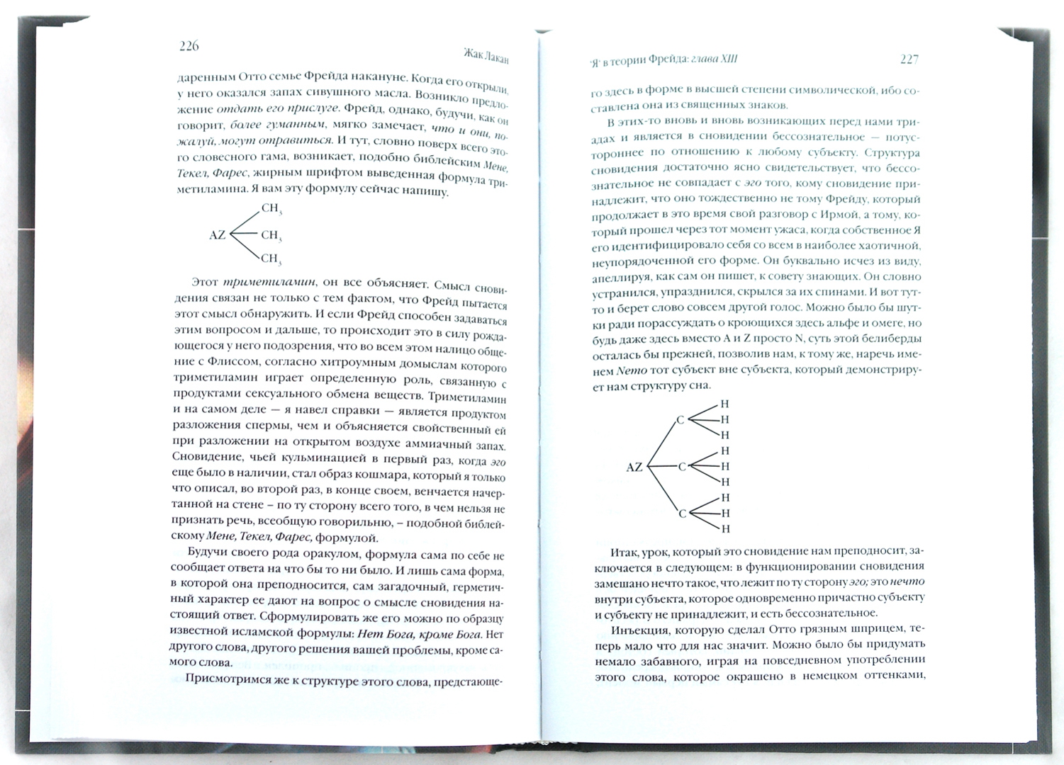 Иллюстрация 1 из 13 для "Я" в теории Фрейда и в технике психоанализа. Семинар, Книга 2 (1954-1955) - Жак Лакан | Лабиринт - книги. Источник: Лабиринт
