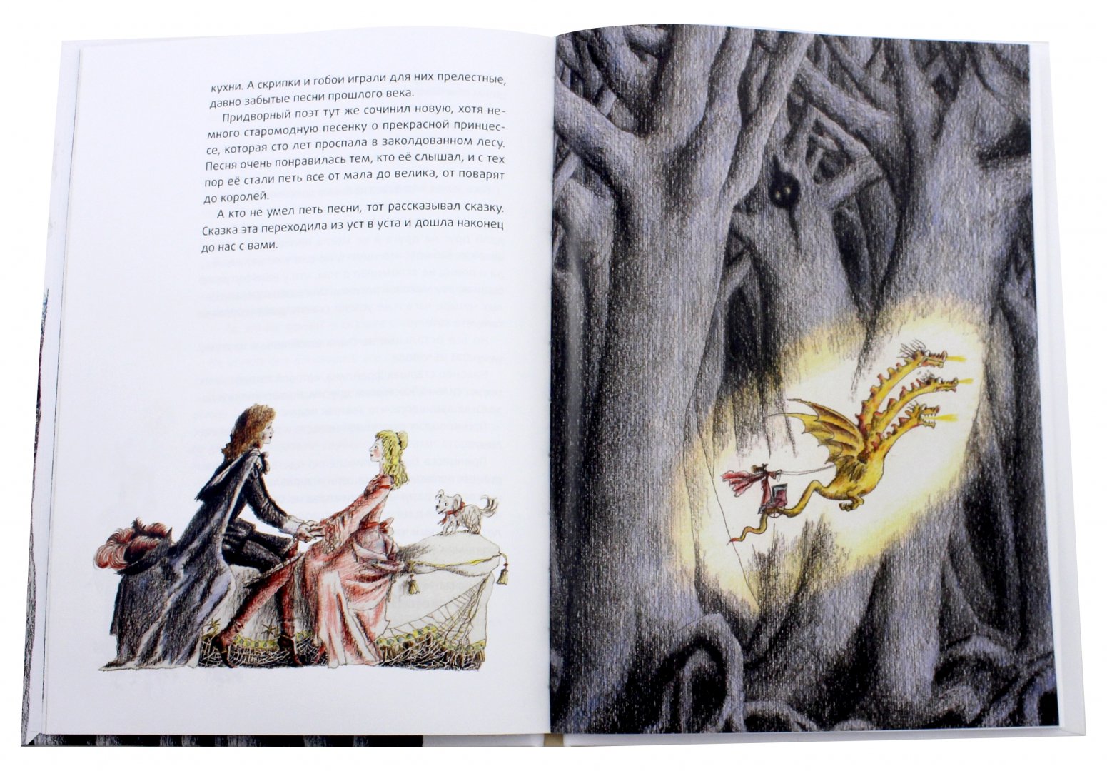 Иллюстрация 1 из 33 для Спящая красавица - Шарль Перро | Лабиринт - книги. Источник: Лабиринт