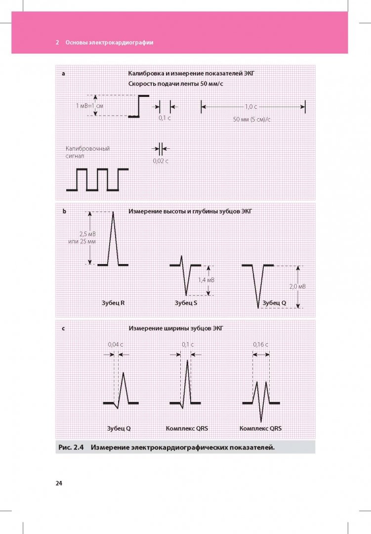 Иллюстрация 11 из 31 для Клиническая интерпретация ЭКГ. Введение в электрокардиографию - Кук-Суп Со | Лабиринт - книги. Источник: Лабиринт