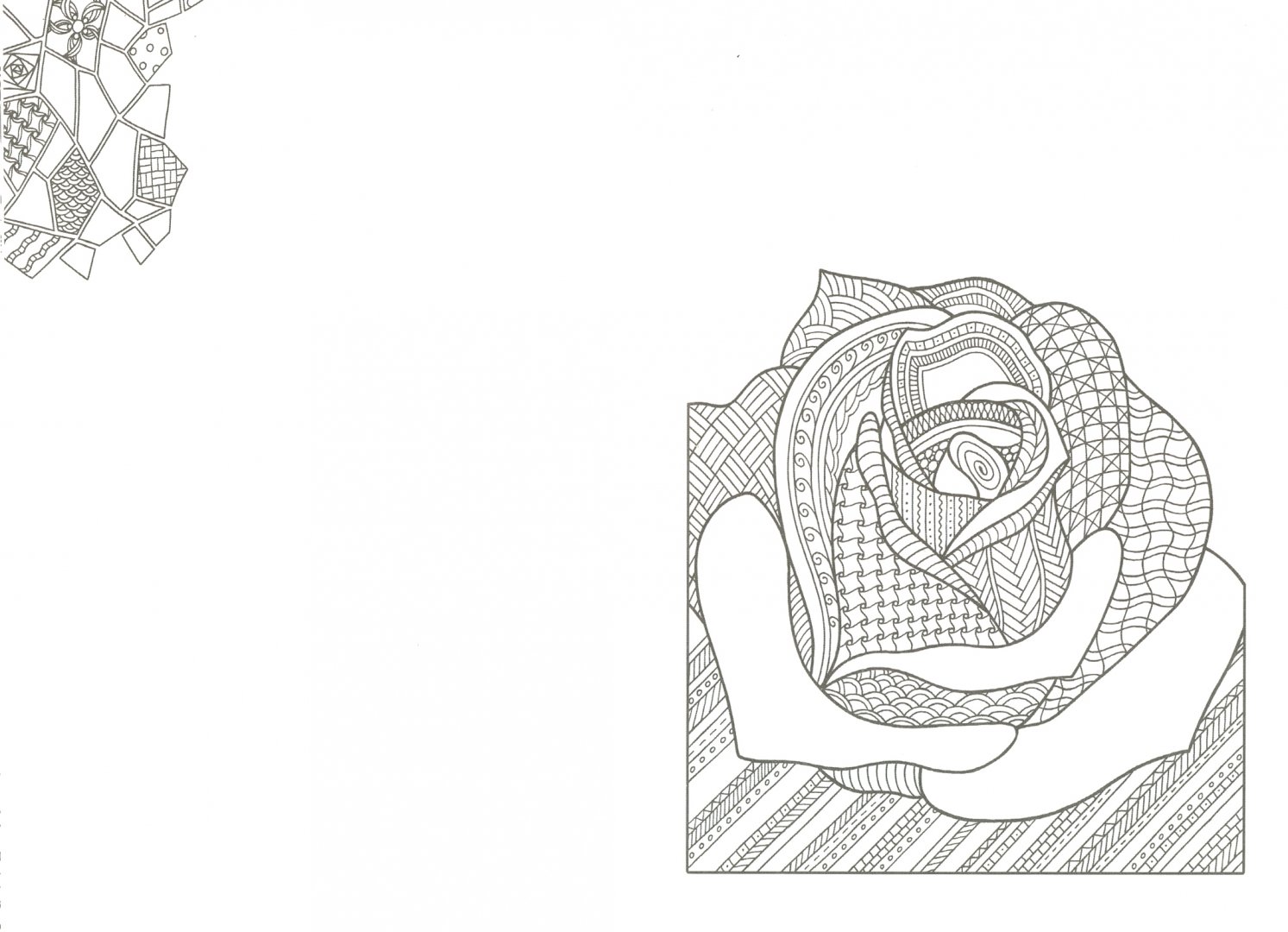 Иллюстрация 1 из 29 для Арт-блокнот. Цветокототерапия - Янина Миронова | Лабиринт - книги. Источник: Лабиринт