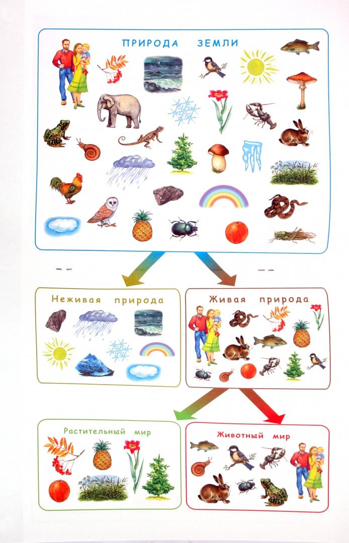 Иллюстрация 1 из 20 для Узнаю мир. Развивающая книга для детей 6-8 лет. ФГОС - Гризик, Лаврова | Лабиринт - книги. Источник: Лабиринт