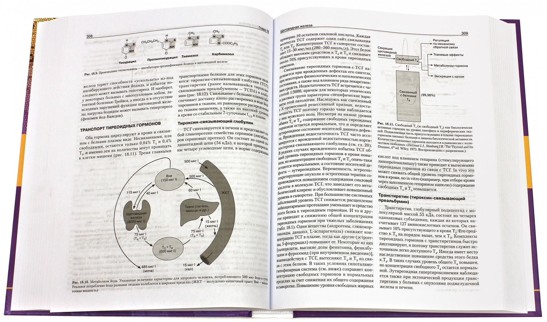 Иллюстрация 1 из 51 для Базисная и клиническая эндокринология. Книга 2 - Гарднер, Шобек | Лабиринт - книги. Источник: Лабиринт