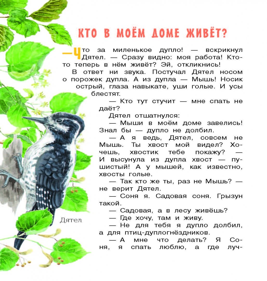 Иллюстрация 3 из 19 для Бюро лесных услуг - Николай Сладков | Лабиринт - книги. Источник: Лабиринт