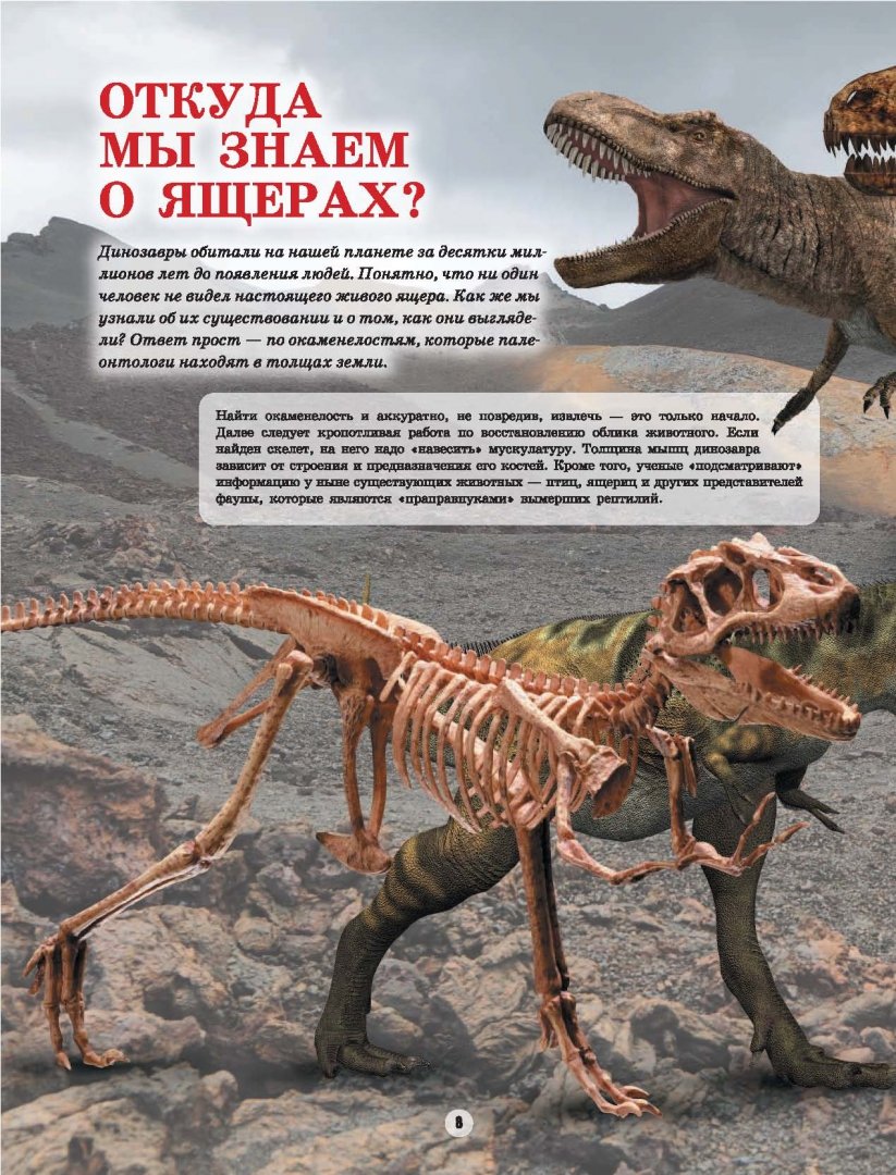 Иллюстрация 12 из 17 для Динозавры - Вячеслав Ликсо | Лабиринт - книги. Источник: Лабиринт