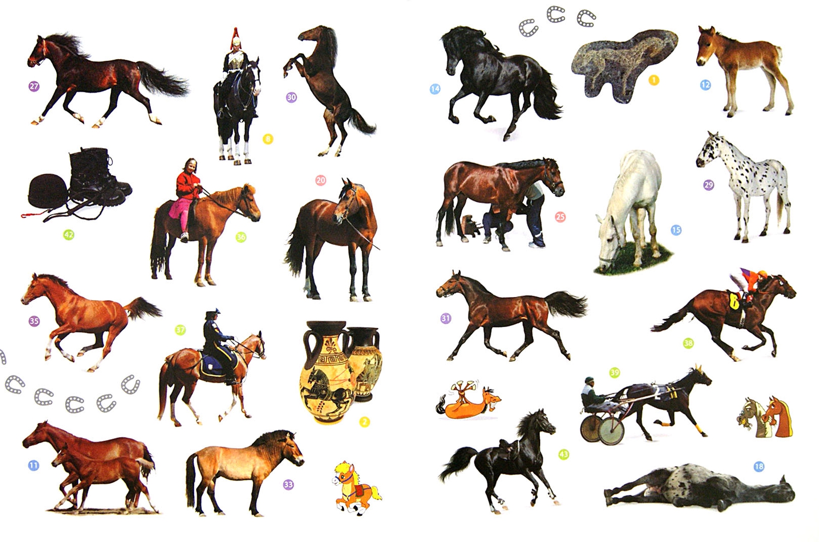 Иллюстрация 1 из 23 для Мои друзья - лошади | Лабиринт - книги. Источник: Лабиринт