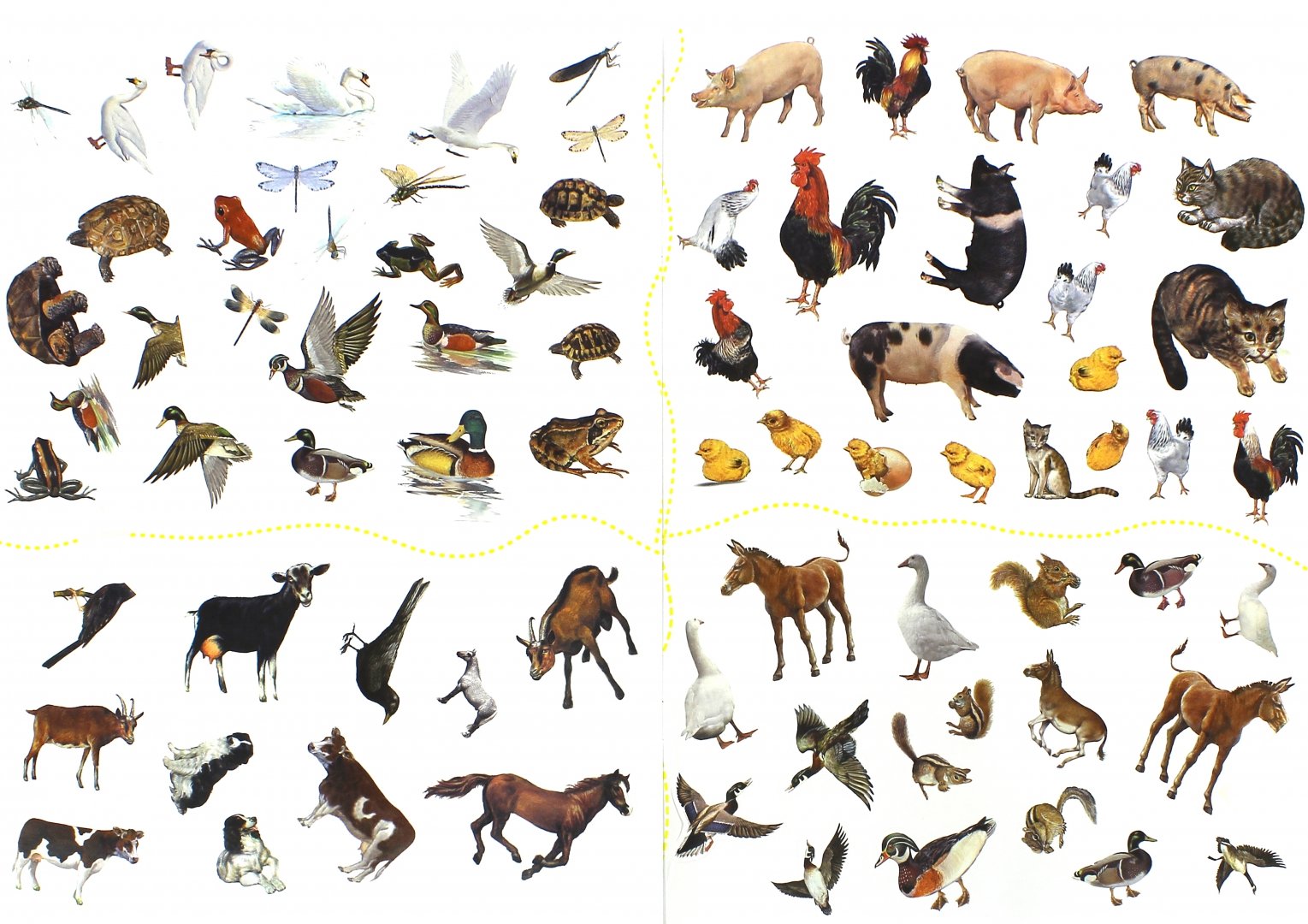 Иллюстрация 3 из 14 для Животные в деревне | Лабиринт - книги. Источник: Лабиринт