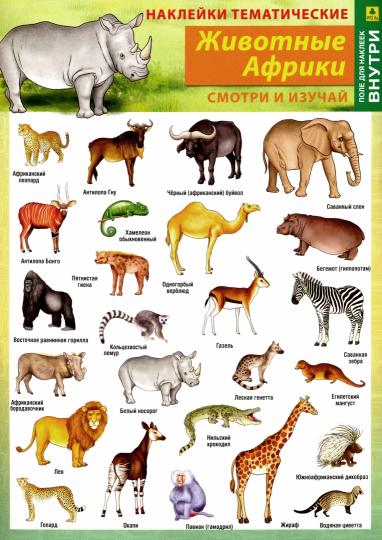 Животные Африки Фото С Названиями И Описанием