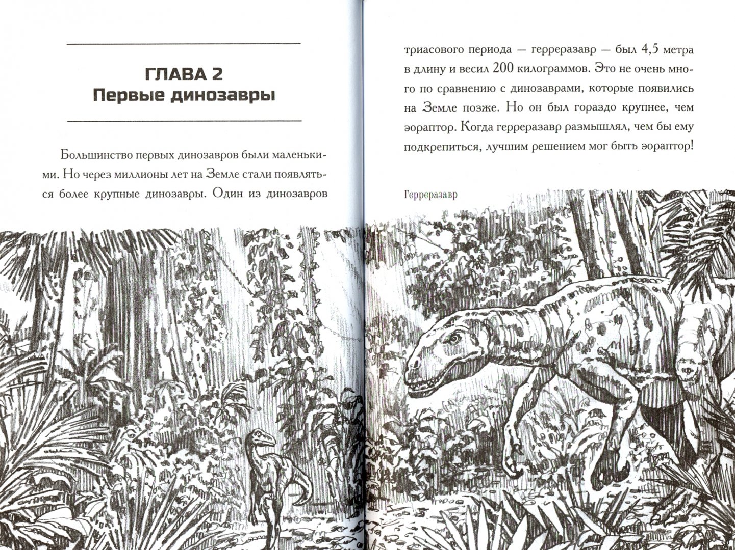Иллюстрация 2 из 13 для Какой была эпоха динозавров? - Мари Стайн | Лабиринт - книги. Источник: Лабиринт