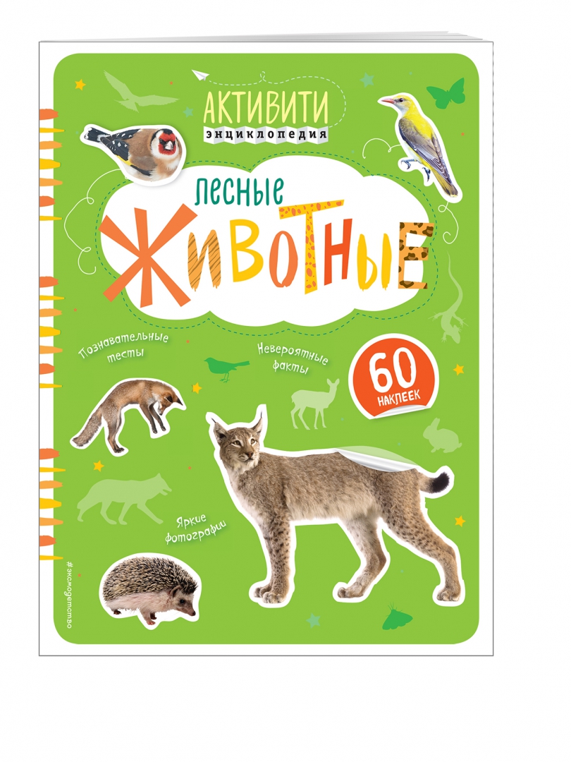 Иллюстрация 1 из 13 для Лесные животные (с наклейками) - Ирина Травина | Лабиринт - книги. Источник: Лабиринт