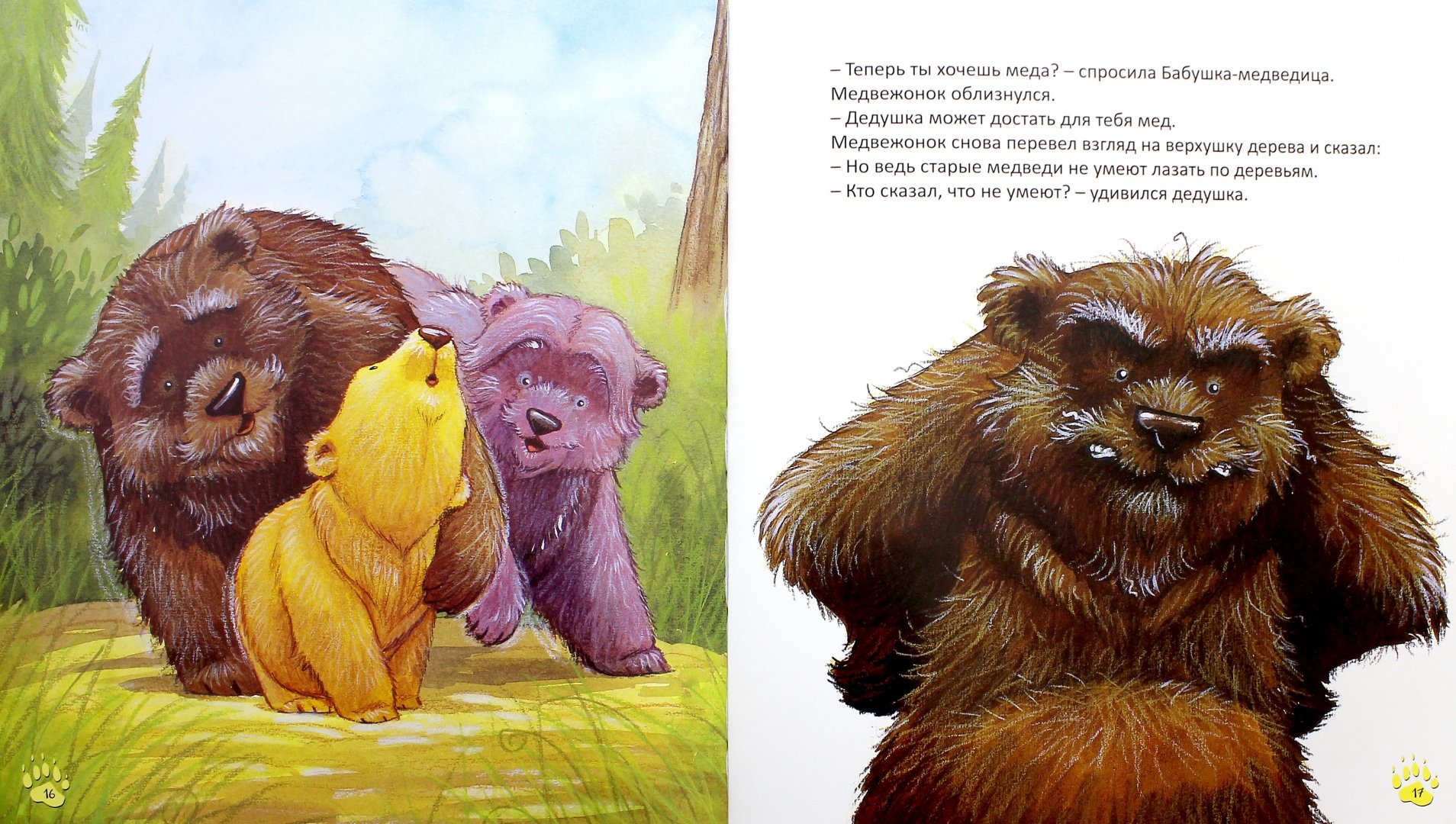 Медведь умеет читать. Хейди Ховарт «старые медведи не умеют лазать по деревьям». Старый медведь. Медведь с книгой. Мед Медведица и медвежата.