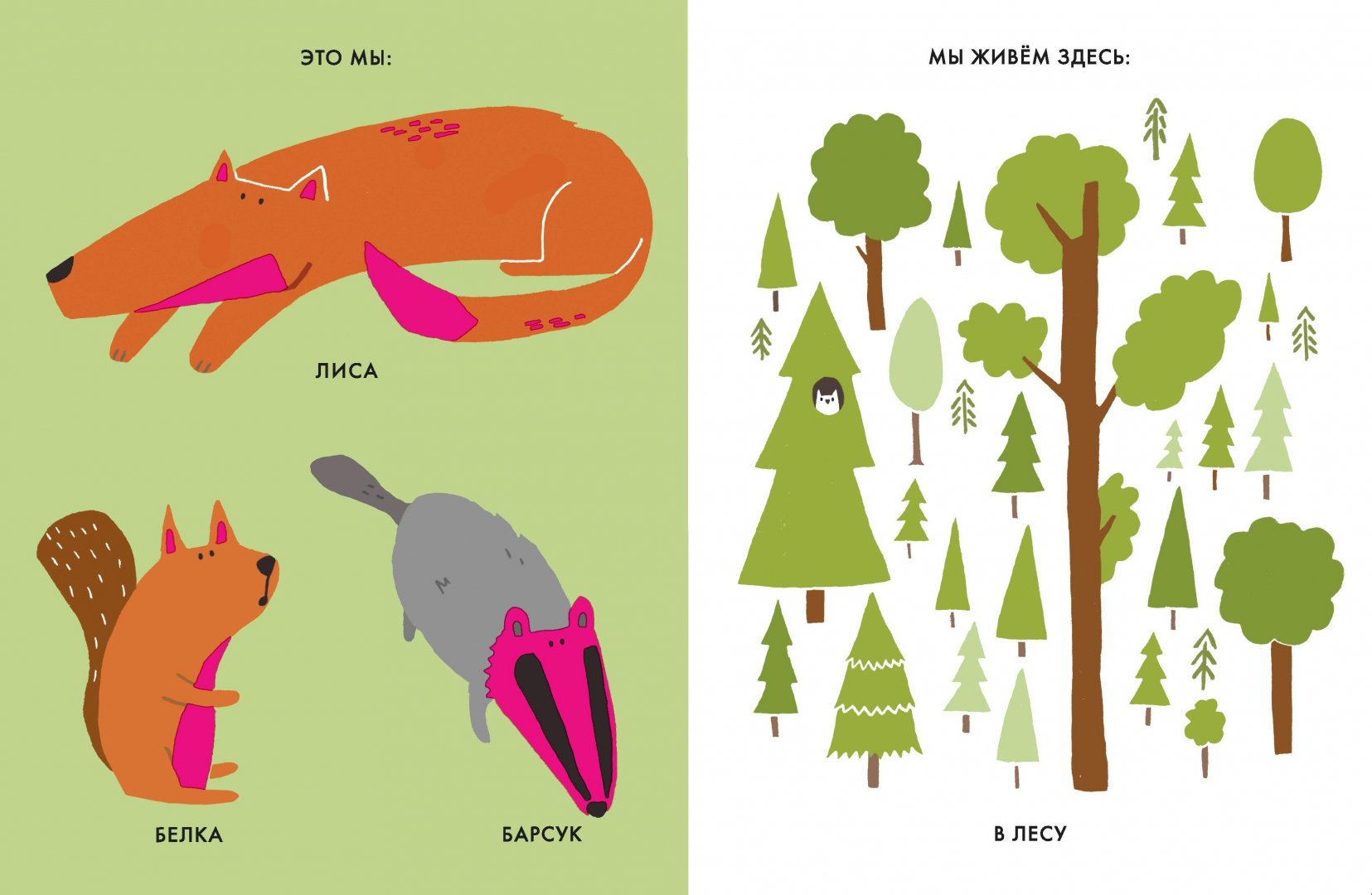 Иллюстрация 1 из 38 для Мой маленький лес - Катрин Виле | Лабиринт - книги. Источник: Лабиринт