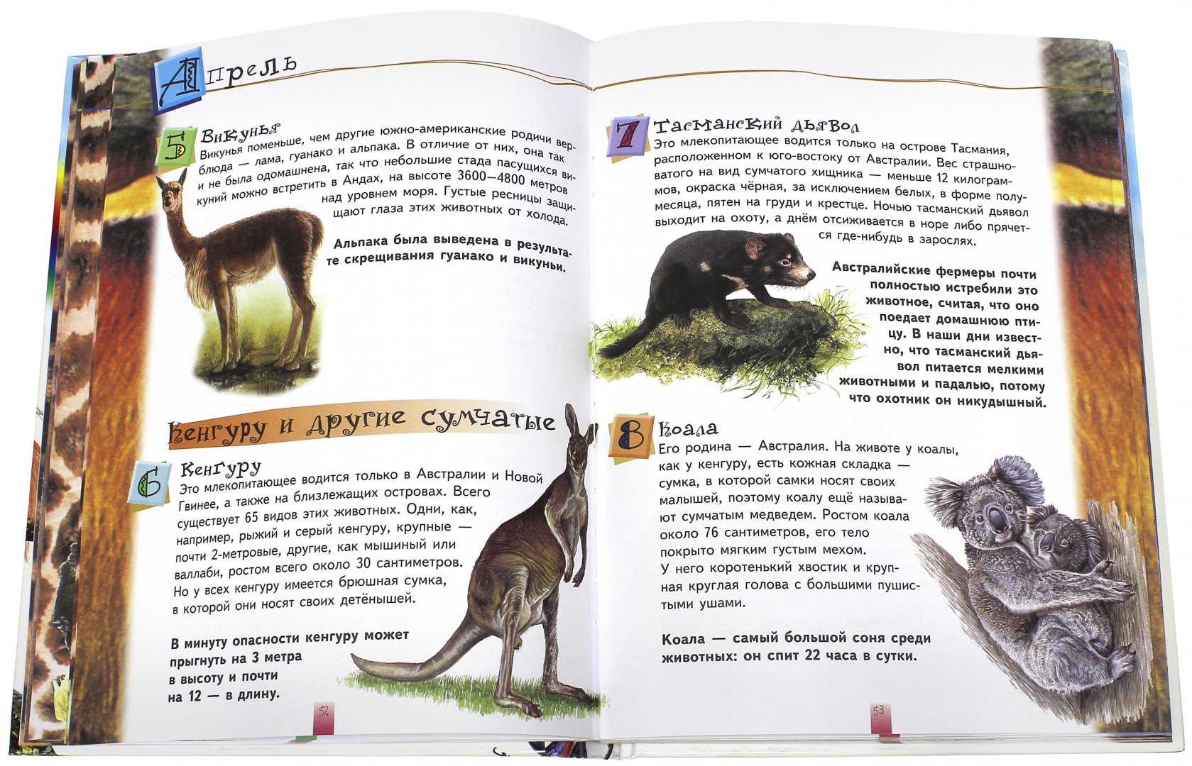 Иллюстрация 1 из 13 для 365 удивительных фактов о животных | Лабиринт - книги. Источник: Лабиринт