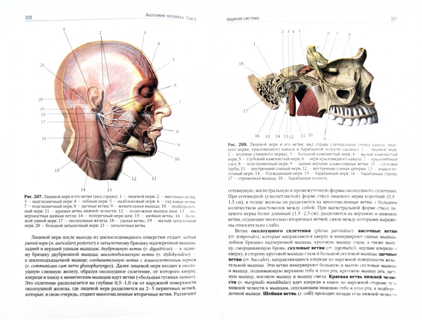 Иллюстрация 1 из 26 для Анатомия человека. Учебник. В 2-х томах. Том 2 - Сапин, Николенко, Никитюк, Чава | Лабиринт - книги. Источник: Лабиринт
