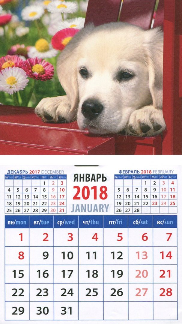 Иллюстрация 1 из 3 для 2018 Календарь "Год собаки. Голден ретривер в саду" (20833) | Лабиринт - сувениры. Источник: Лабиринт