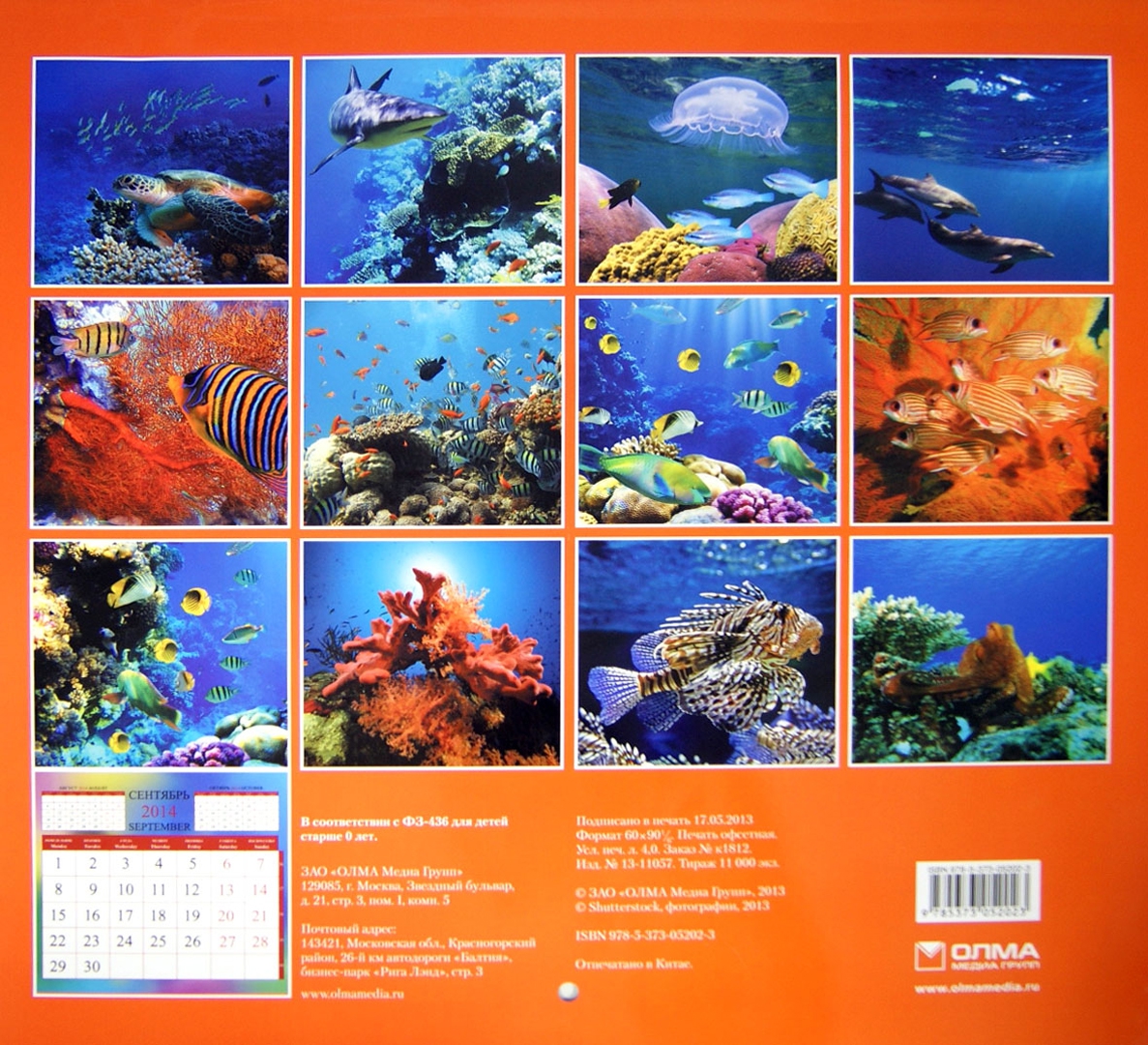 Иллюстрация 1 из 11 для Календарь 2014 "Подводный мир" | Лабиринт - сувениры. Источник: Лабиринт