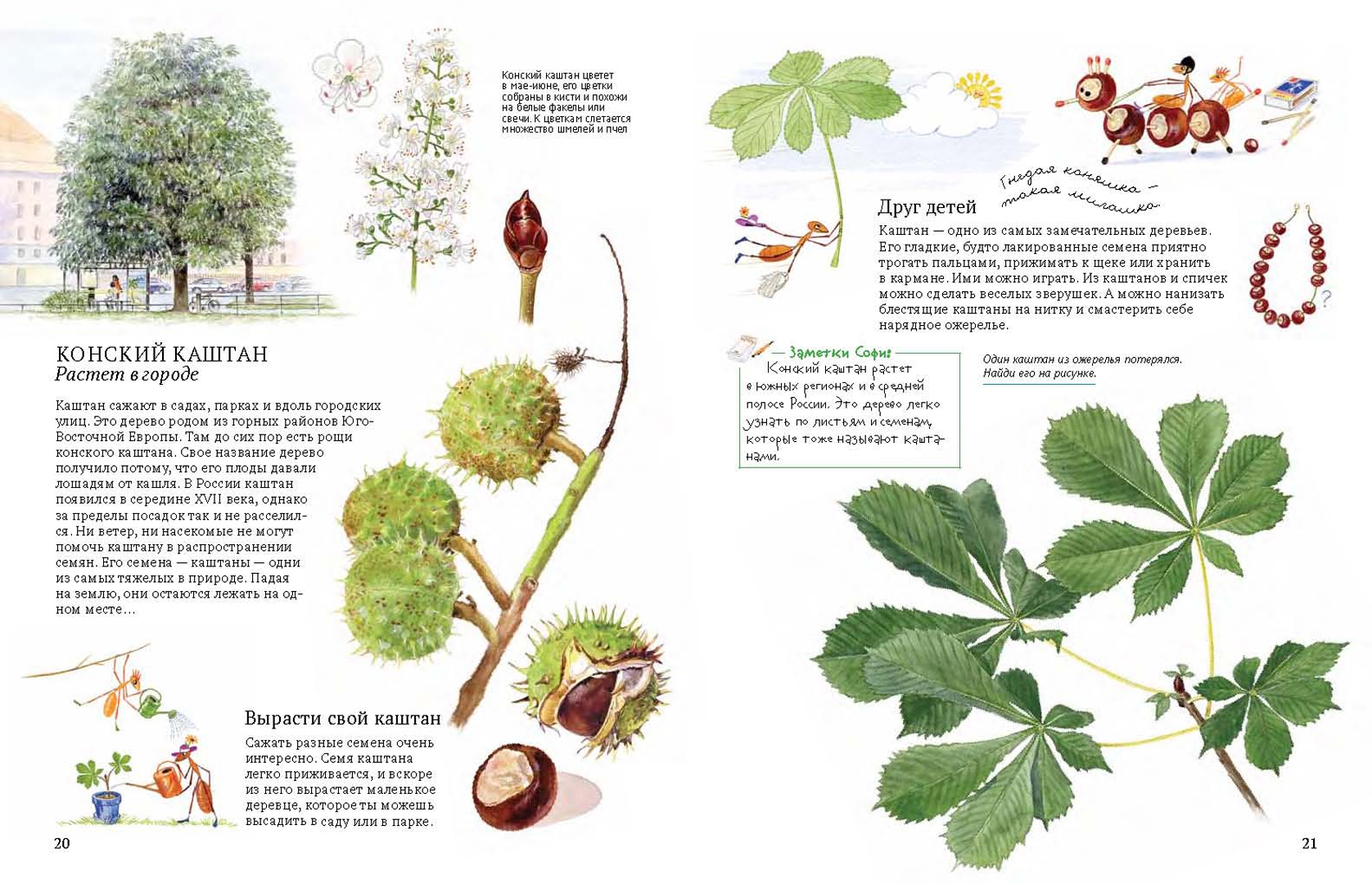 Иллюстрация 4 из 46 для Софи в мире деревьев - Стефан Каста | Лабиринт - книги. Источник: Лабиринт