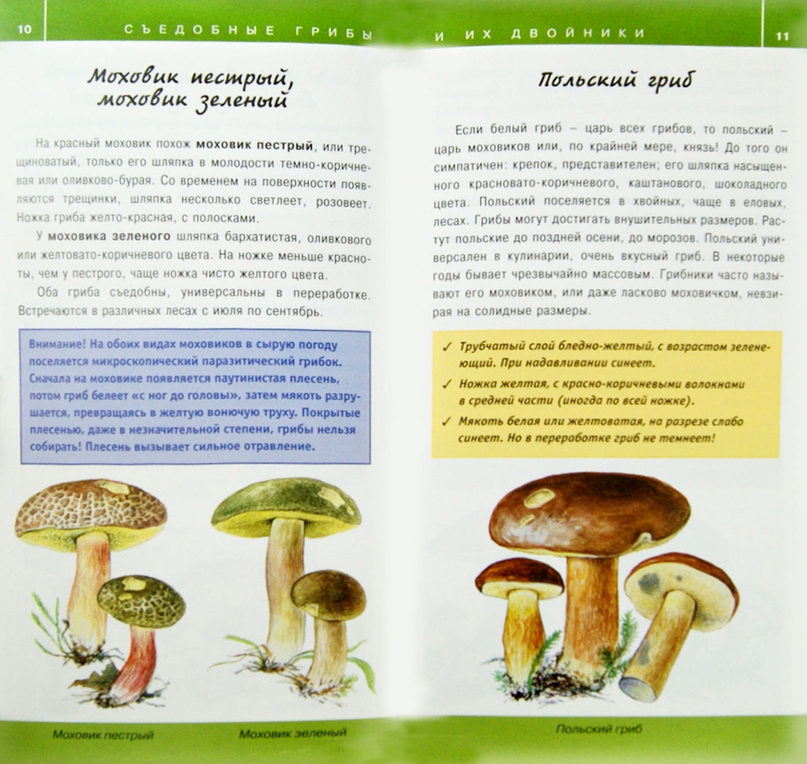Атлас определитель съедобные грибы и несъедобные грибы