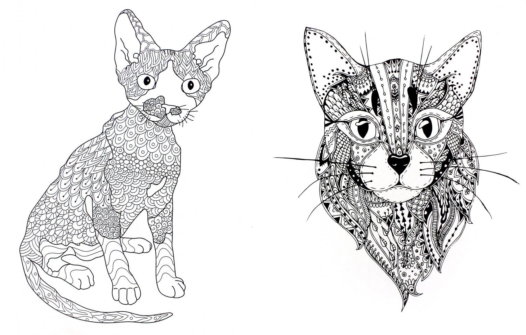 Иллюстрация 1 из 23 для Cats. Творческая раскраска замурчательных котиков - Линда Тейлор | Лабиринт - книги. Источник: Лабиринт