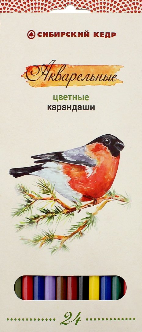 Иллюстрация 1 из 9 для Карандаши цветные, акварельные "Птицы Сибири", 24 цвета (СК083/24) | Лабиринт - канцтовы. Источник: Лабиринт