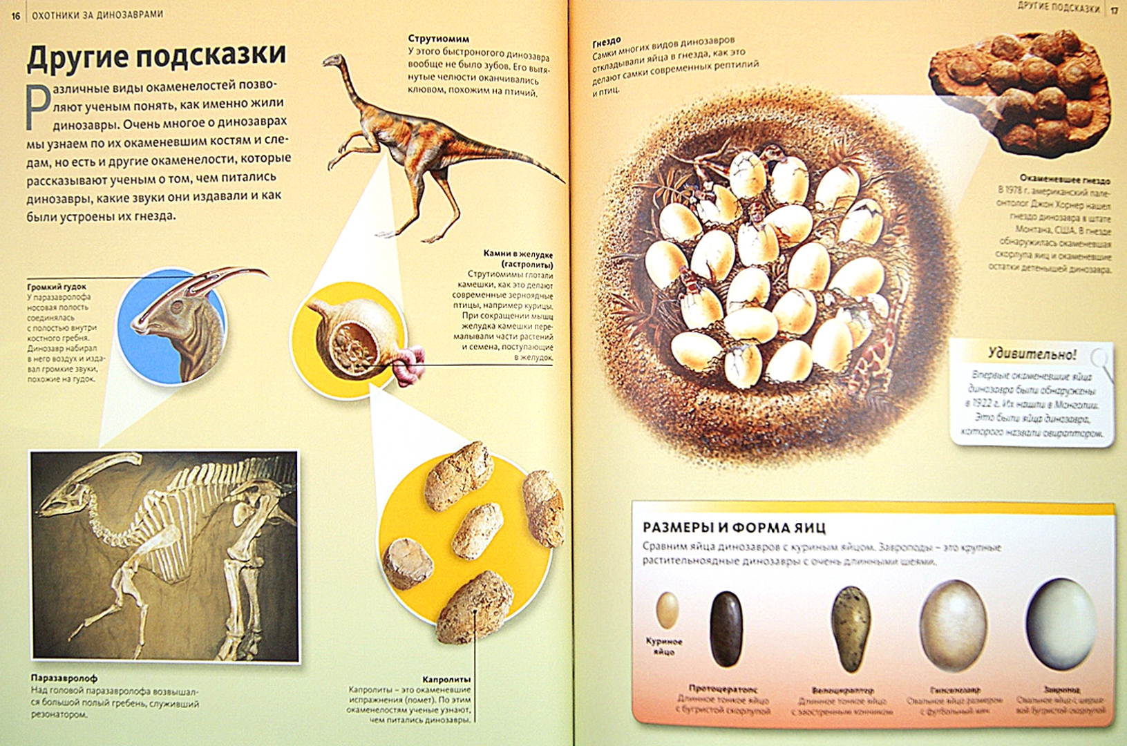 Иллюстрация 1 из 39 для Охотники за динозаврами | Лабиринт - книги. Источник: Лабиринт
