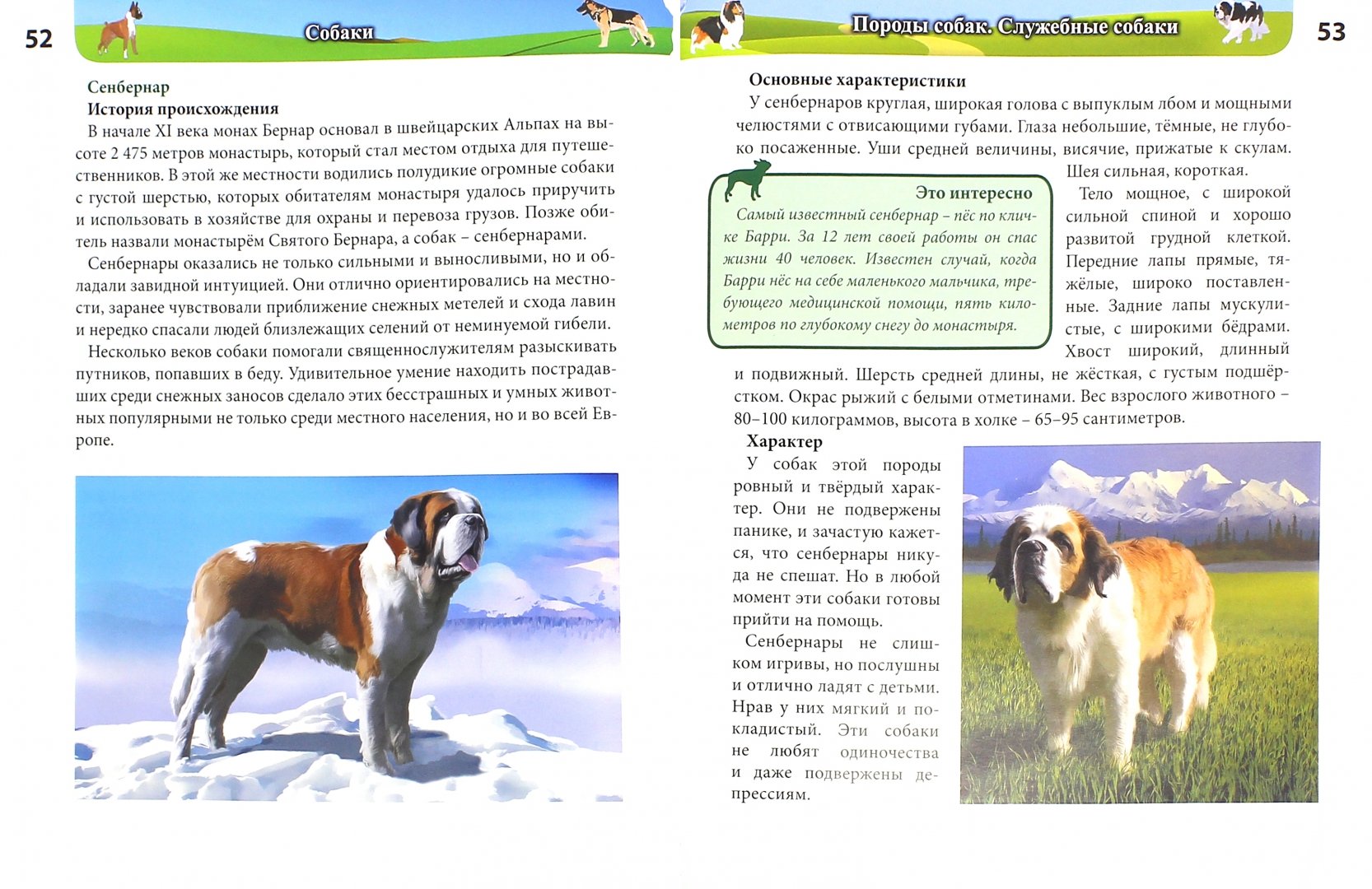Иллюстрация 1 из 27 для Собаки - Леся Калугина | Лабиринт - книги. Источник: Лабиринт