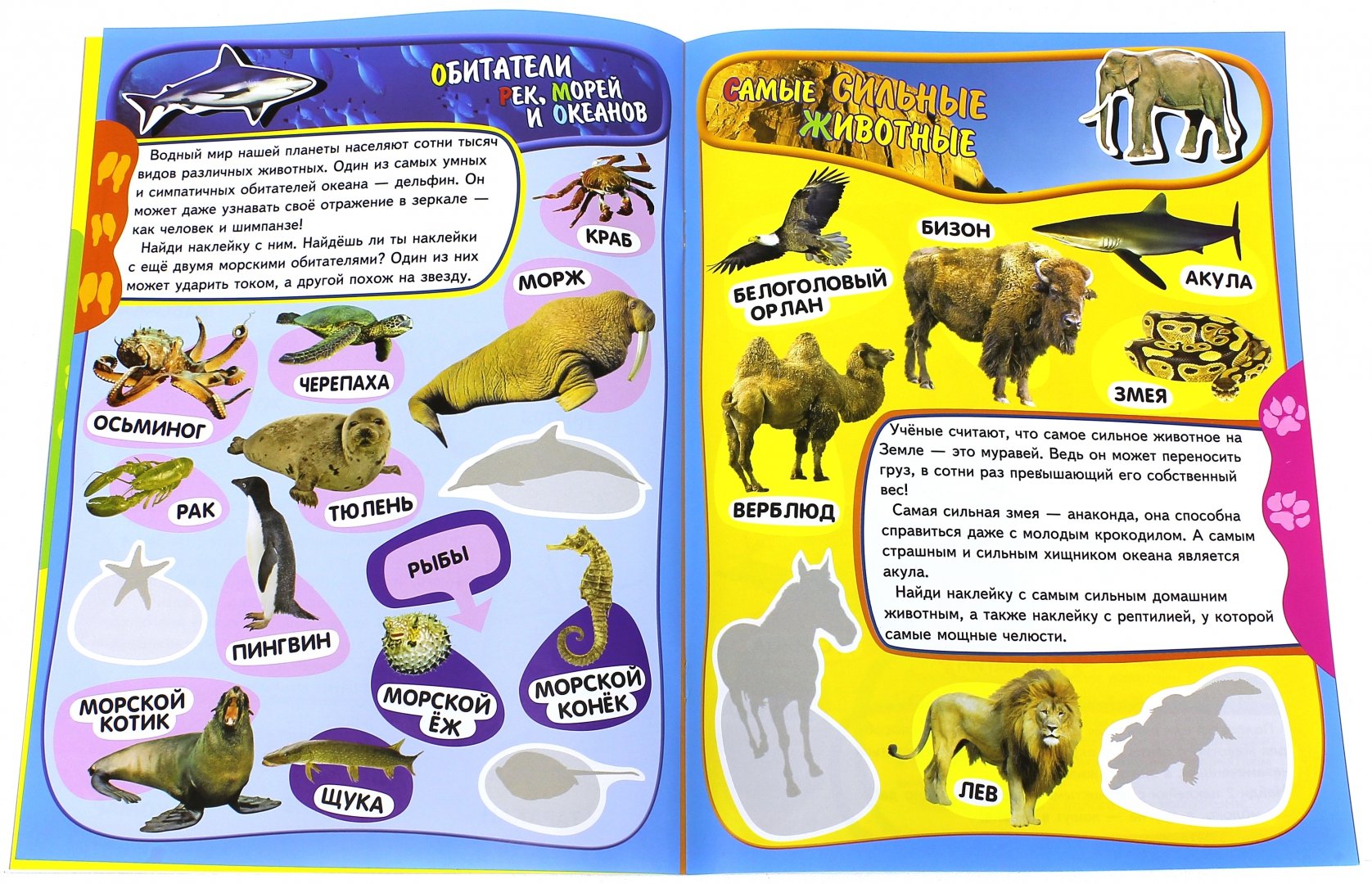 Иллюстрация 3 из 14 для Учись, играя. 5-7 лет. Животные | Лабиринт - книги. Источник: Лабиринт