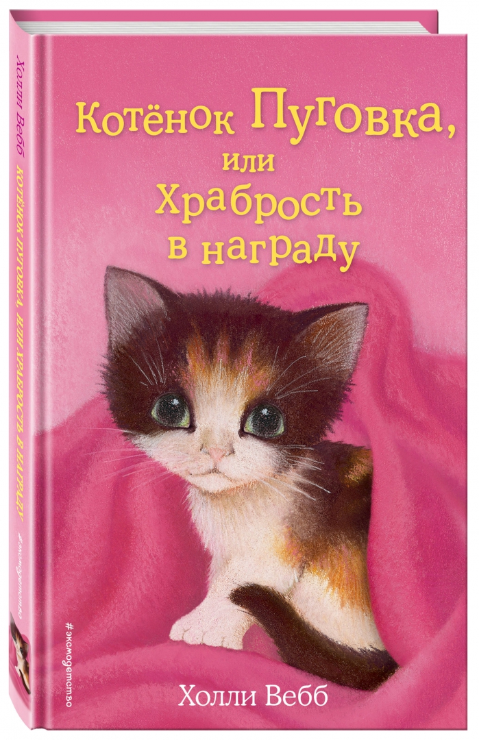 Иллюстрация 1 из 34 для Котёнок Пуговка, или Храбрость в награду - Холли Вебб | Лабиринт - книги. Источник: Лабиринт