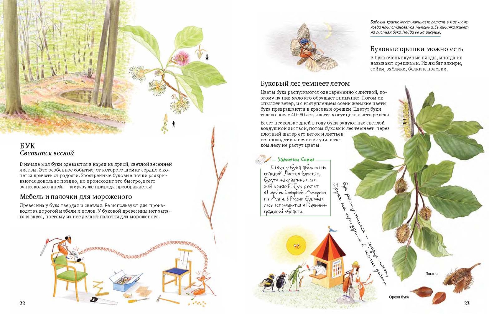 Иллюстрация 5 из 46 для Софи в мире деревьев - Стефан Каста | Лабиринт - книги. Источник: Лабиринт