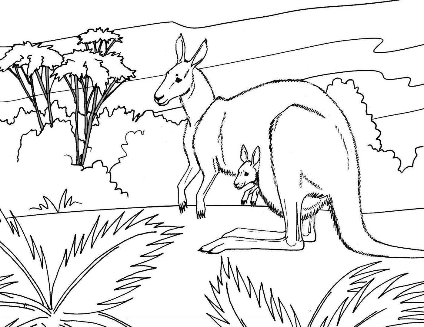 Иллюстрация 6 из 6 для Животные. Большой альбом волшебных раскрасок | Лабиринт - книги. Источник: Лабиринт