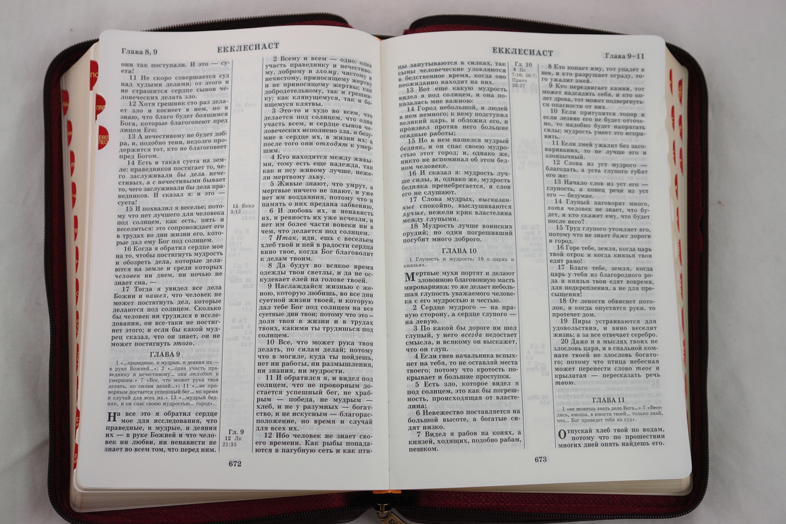 Иллюстрация 1 из 16 для Библия (1195) (без неканонических книг Ветхого Завета) (077ZTIFIB) | Лабиринт - книги. Источник: Лабиринт