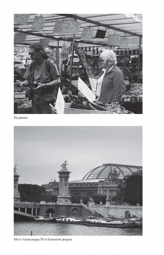 Иллюстрация 8 из 18 для Прогулки по Парижу. В двух книгах. Книга I. Левый берег и острова - Борис Носик | Лабиринт - книги. Источник: Лабиринт