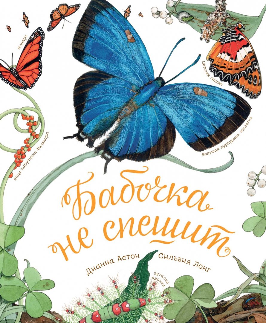 Иллюстрация 1 из 70 для Бабочка не спешит - Дианна Астон | Лабиринт - книги. Источник: Лабиринт