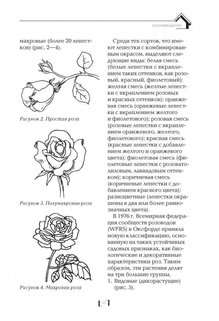 Иллюстрация 10 из 34 для Розарий на дачном участке - Мария Нелидова | Лабиринт - книги. Источник: Лабиринт